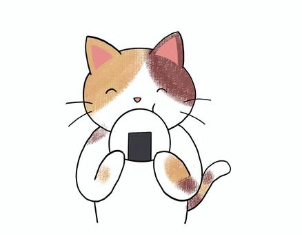 おにぎりを食べる三毛猫 ゆるい おにぎりを食べる三毛猫 ゆるい 食べる,おにぎり,三毛猫,手描き,かわいい,茶色のイラスト素材