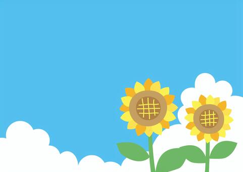 Sunflowers and blue sky, summer, sunflower, sunflower, JPG, PNG and AI