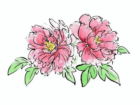筆で描いた絵手紙風の赤い牡丹 牡丹,花,植物,赤,春,5月,6月,絵手紙,毛筆,筆ペンのイラスト素材