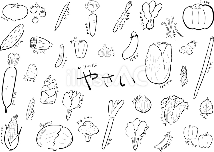 いろんな野菜＿線画 野菜,やさい,ベジタブルのイラスト素材