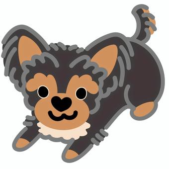 ハート鼻のヨークシャーテリア（ふせ）5 ヨークシャーテリア,犬,動物,ハート,鼻,ふせ,シンプル,かわいい,キュート,デフォルメのイラスト素材