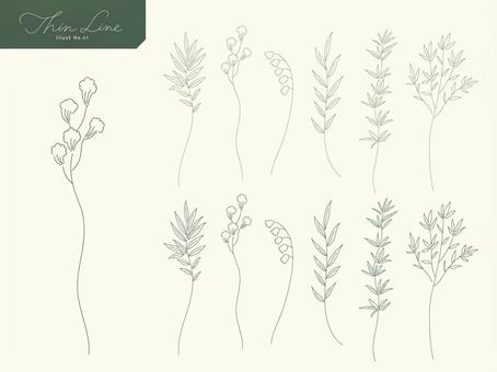 Botanical illustration drawn with thin lines 01, botanical, plant, ijo, JPG, PNG and AI