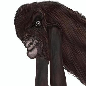 Illustration, damascus goat, goat, livestock, 