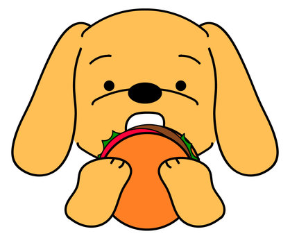 ハンバーガーをほおばる犬 犬,ペット,ミニチュアダックスフンド,ビーグル,ゴールデンレトリバー,垂れ耳,顔,手,ほおばる,食べるのイラスト素材