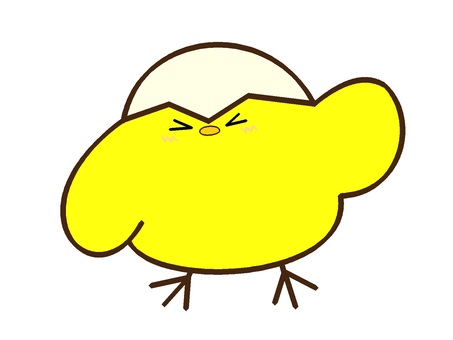 久しぶりって感じのひよこ２ ひよこ,鳥,動物,雛,けもの,モチーフ,カラー,卵,殻,被るのイラスト素材