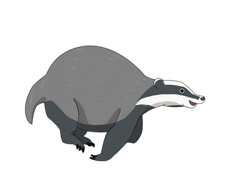 ヨーロッパアナグマ（走る） ヨーロッパアナグマ,アナグマ,ヨーロッパ,動物,走るのイラスト素材