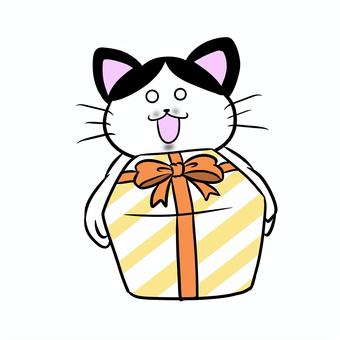 Cat giving a present, JPG and PNG Cat giving a present, cat, busty cat, black and white cat, JPG and PNG