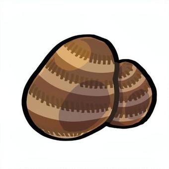 里芋（サトイモ） 食べ物,食材,野菜,サトイモ,里芋,冬のイラスト素材