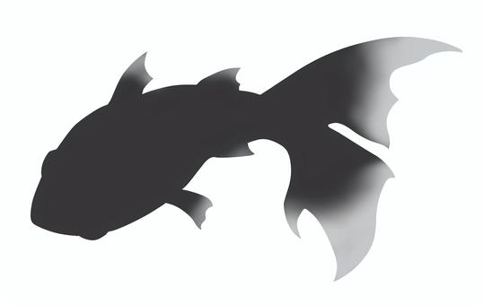 黒い金魚のシルエット 黒い金魚のシルエット 金魚,魚,シルエットのイラスト素材