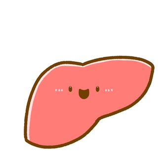 ゆるかわいい肝臓•キャラクター 肝臓,臓器,医療,シンプル,かわいい,ゆるい,キャラ,キャラクター,顔,顔つきのイラスト素材
