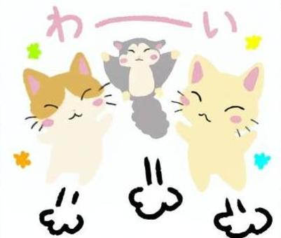 Illustration, cat, yay, jump, 