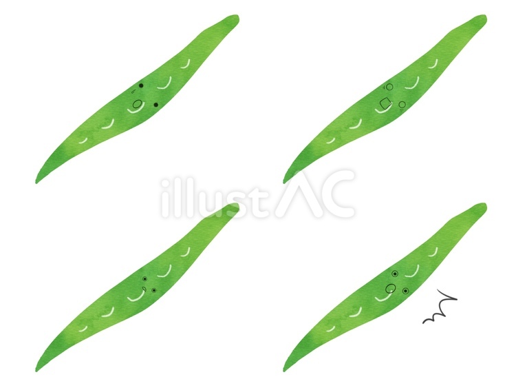野菜のキャラの表情セット　驚　いんげん いんげん,野菜,キャラクターのイラスト素材