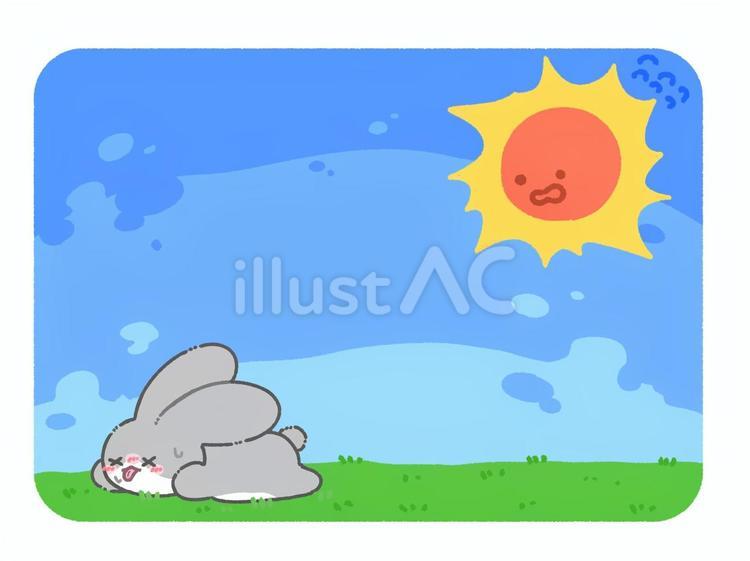 熱中症のハチワレうさぎ うさぎ,灰色,グレーのイラスト素材