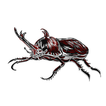 カブトムシ カブトムシ,甲虫,昆虫,ヤマトカブト,虫のイラスト素材