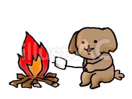 キャンプする犬