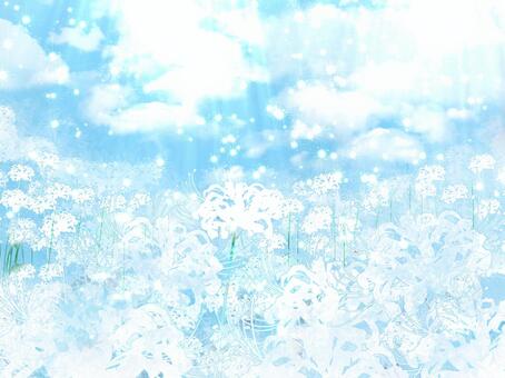 Celestial flowers, JPG and PNG Celestial flowers, do not worry, paradise, marlin, JPG and PNG