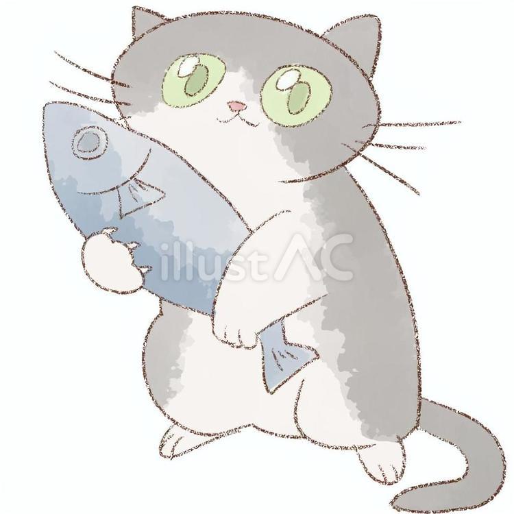 おさかなとねこ 猫,魚,生き物のイラスト素材