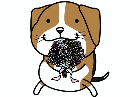 Illustration, bouquet, beagle, dog, 