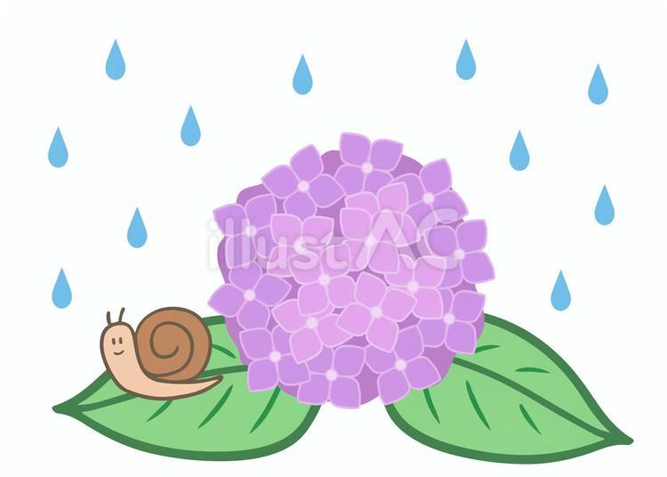 雨と紫陽花とかたつむり 雨,梅雨,あじさいのイラスト素材