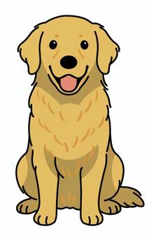 お座りするゴールデンレトリバー ゴールデンレトリバー,お座り,大型犬,舌,ペットのイラスト素材