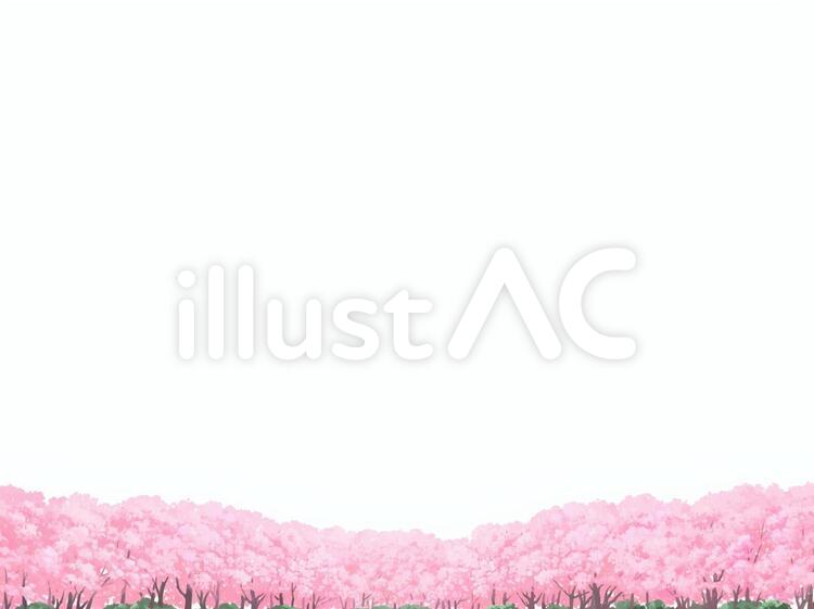 遠景の桜素材 桜,春,花見のイラスト素材