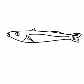 キス 魚,釣り,シンプル,白黒,モノクロ,線画,挿絵,かわいい,キスのイラスト素材