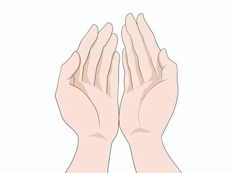 受け取る手 受け取る,すくう,手,女性,色白,両手,受ける,手のひらのイラスト素材