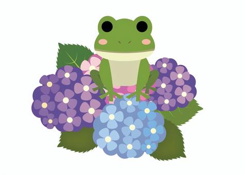 Rainy season hydrangea and frog, , JPG, PNG and AI