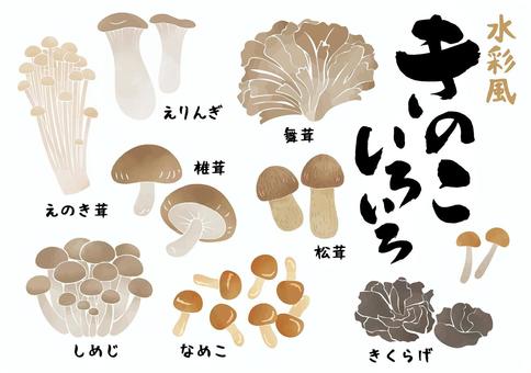 水彩風格蘑菇套裝2, 蘑菇, 离褶伞, 菇, JPG, PNG 和 AI