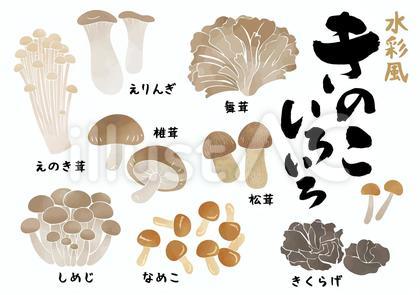 水彩風 きのこセット2