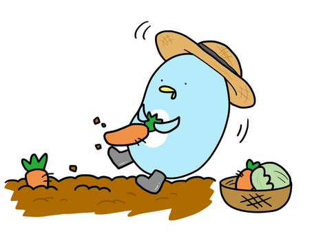 野菜を収穫するペンギン 野菜,収穫,畑,栽培,菜園,人参,キャベツ,ペンギン,動物,かわいいのイラスト素材