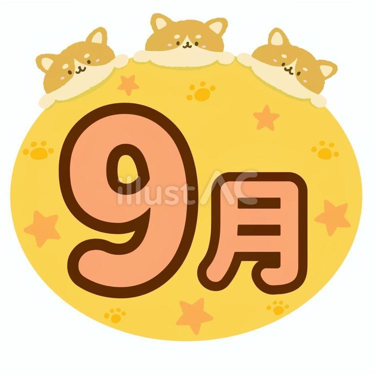 かわいい柴犬3匹•星々の9月（満月色） 柴犬,犬,動物のイラスト素材