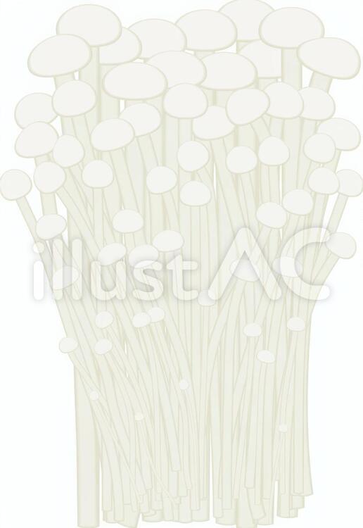 食物シリーズ野菜 茸 えのき茸イラスト No 2514 無料イラストなら イラストac