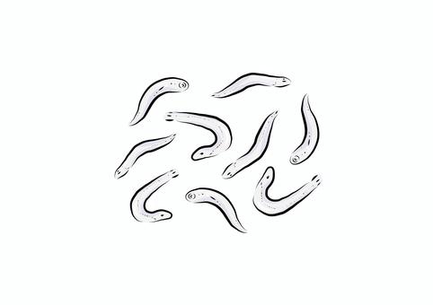 しらす しらす,釜揚げしらす,ちりめんじゃこ,小魚,しらす干し,魚,食べ物,素材,pop,アイコンのイラスト素材