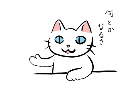 話を聞く白猫（何とかなるさ） 話す,白猫,手描き,かわいい,ゆるいのイラスト素材