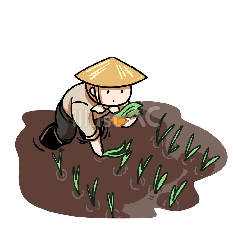 田植えをする男性 田植え,農業,男性のイラスト素材