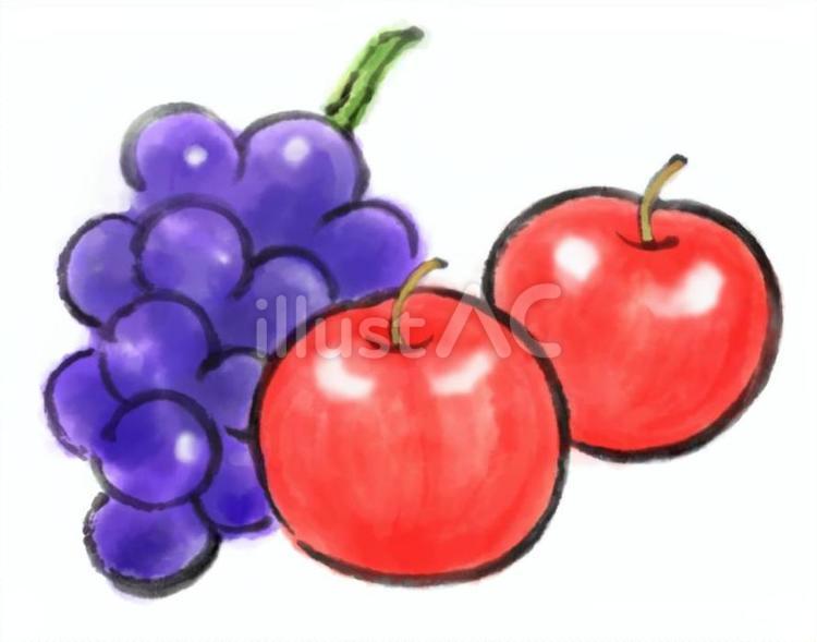 ぶどうとりんご１ ぶどう,りんご,筆絵のイラスト素材