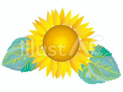 イラスト向日葵夏の花植物シンプル飾り素材