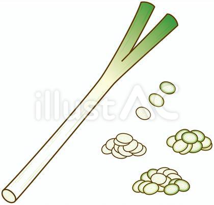 長ネギ1本と長ネギ輪切り