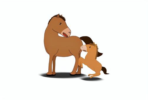 2026_年賀状44 午,馬,仔馬,親子,まなざし,笑顔,愛情,絆,平和,まったりのイラスト素材