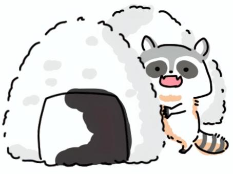 アライグマとおにぎり アライグマとおにぎり アライグマ,動物,可愛いのイラスト素材