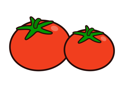 トマト トマト,野菜,夏野菜,食べ物,食材,シンプル,挿絵,白バック,ベクター,イラストのイラスト素材
