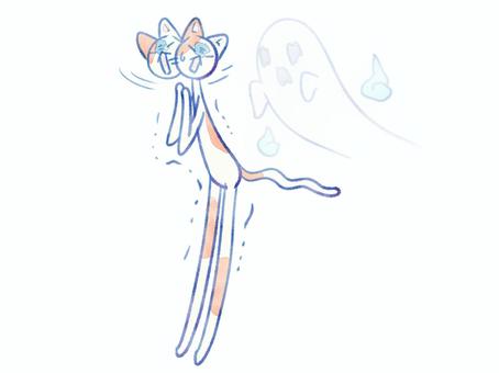 猫とお化け