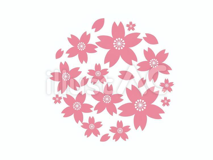 桜玉 桜,花,華のイラスト素材