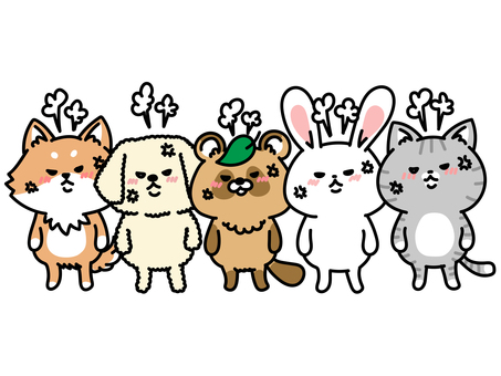 みんなしてめちゃくちゃ怒ってる動物たち 柴犬,うさぎ,ねこ,怒る,怒り,激怒,イライラ,ムカムカ,ぷんぷん,苛立つのイラスト素材