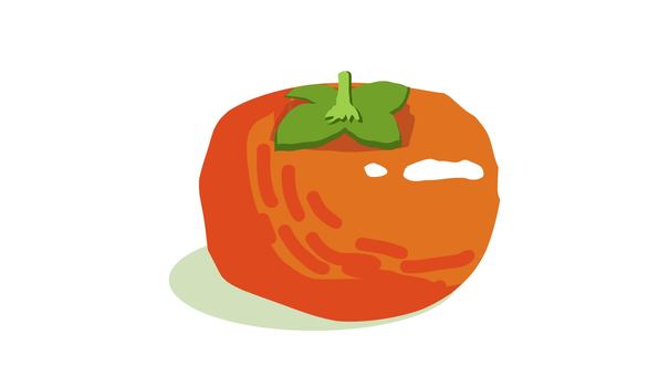 persimmon, , JPG and PNG