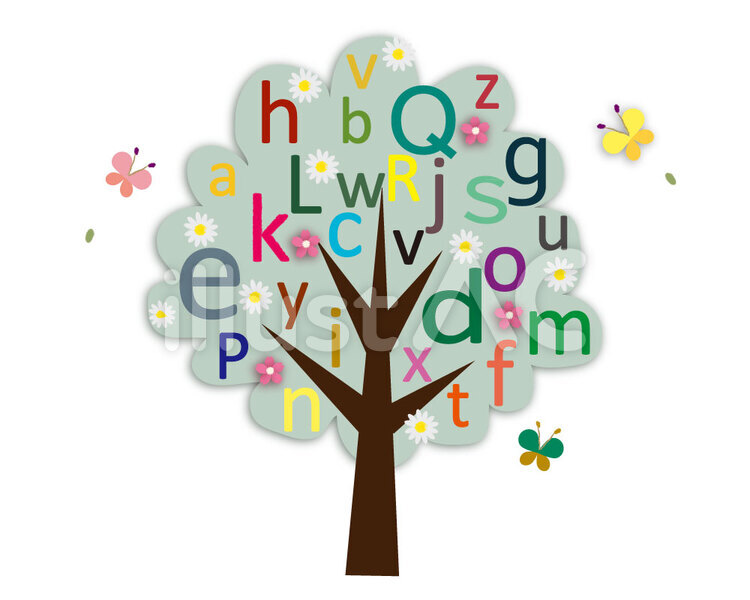 英語の木 英語,木,樹木のイラスト素材