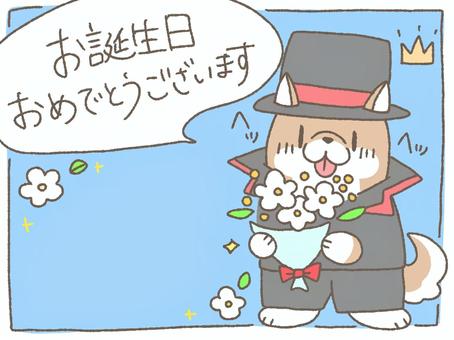 お誕生日カード 誕生日,カード,柴犬,スーツ,シルクハット,花,動物のイラスト素材