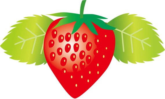 果物_いちご いちご,果物,農園,畑,農家,農業のイラスト素材