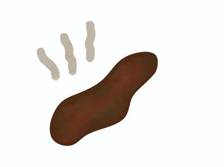 リアルなうんちのイラスト 水彩 うんち,リアル,水彩,イラスト,排泄,茶色,くさい,排泄物,生理現象,動物のイラスト素材